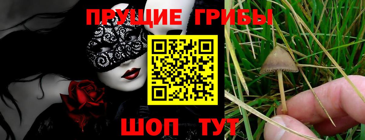 Галлюциногенные грибы MAGIC MUSHROOMS Шебекино